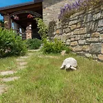 Casa Brillocco Castellabate Ferienhaus *